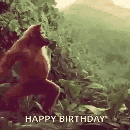 monkey-happy-birthday-xvyuy8hrkkakrhdg.gif