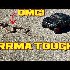 Arrma Tough! Arrma Senton Meets A Snake!